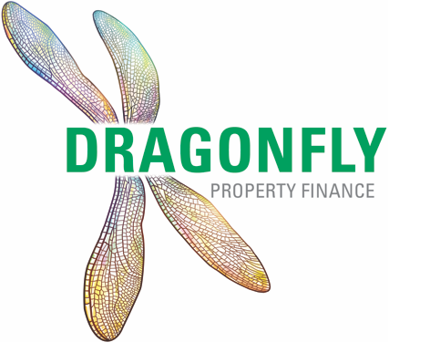 Dragonfly expands risk team